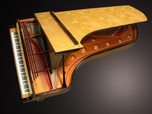 A Piano 4 Pedals?! My Piano